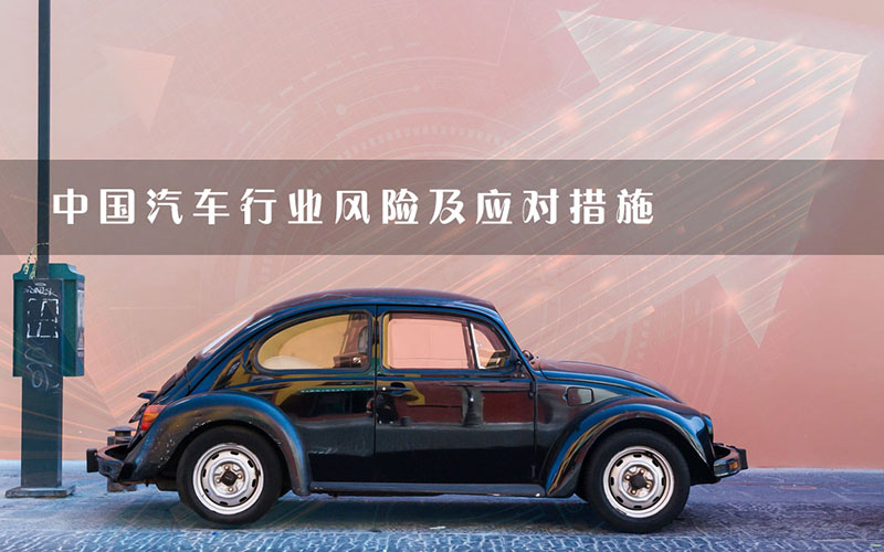 中國汽車行業(yè)風險及應對措施.jpg